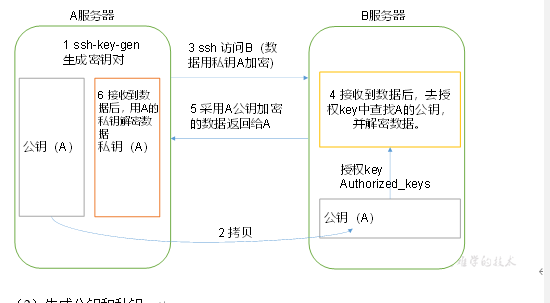 image-20201122090821858