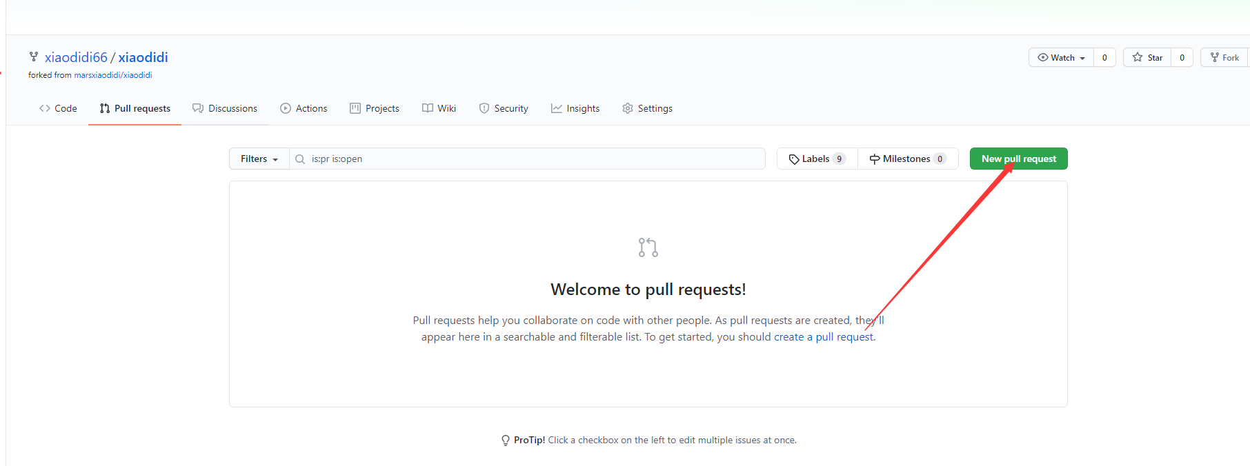 image-20210129192658043