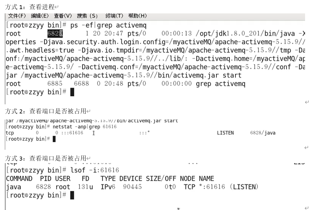 image-20210309163020591