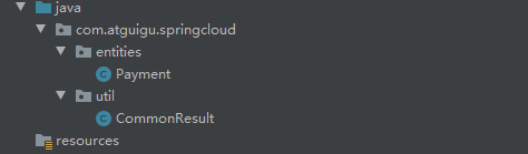 image-20210313143955799