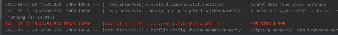 image-20210317205153004